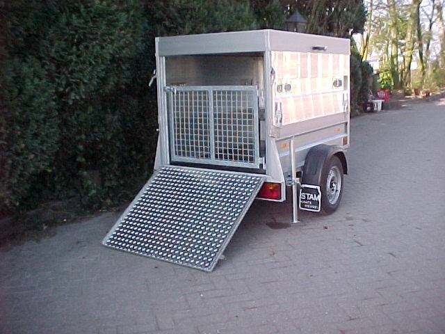 mini veetransporter